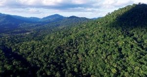 E se a espécie humana desaparecesse da Terra?
