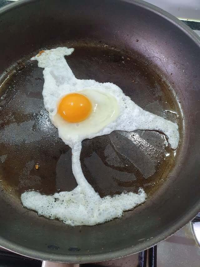 Ovo