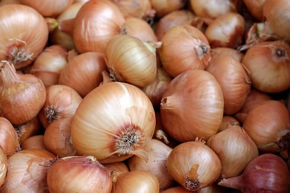 cebola e alho