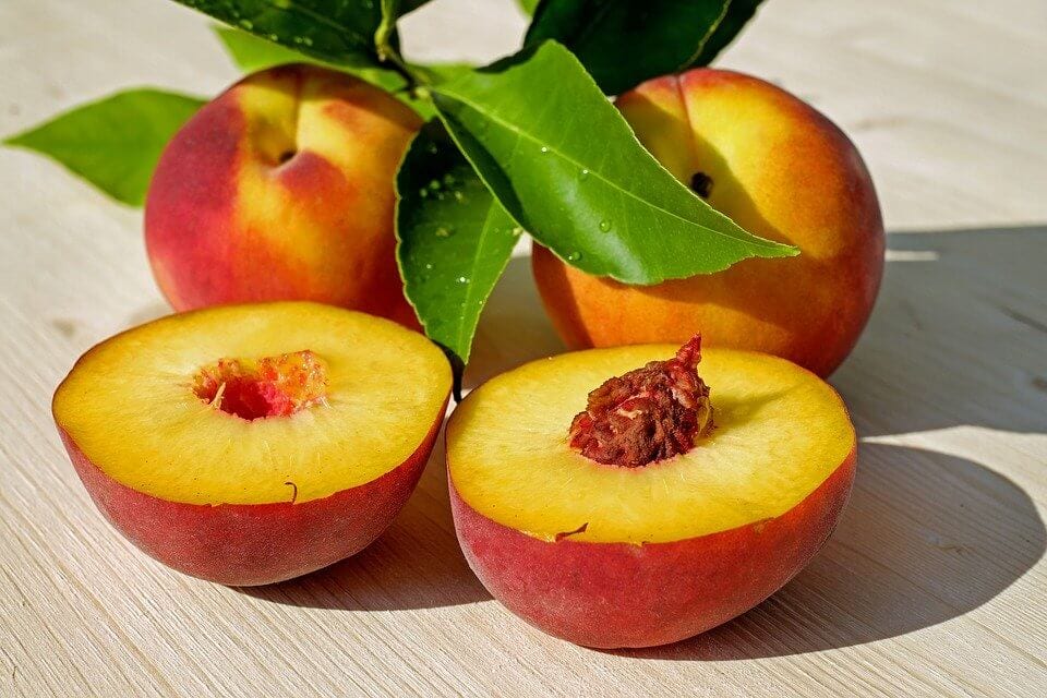 alimentos proibidos - caroços de frutas