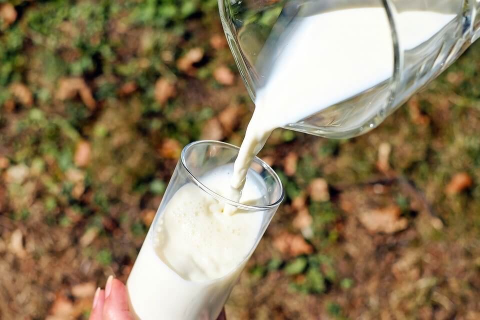 alimentos proibidos - laticínios