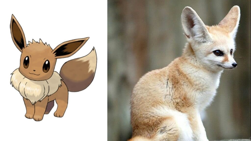 pokémons reais - eevee