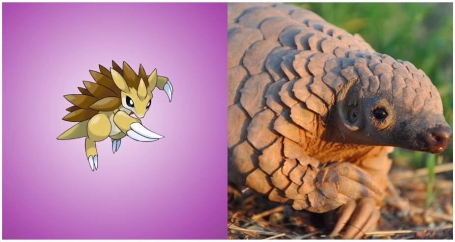 sandslash